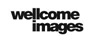 The Wellcome images icon